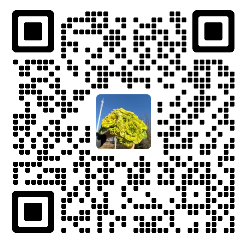 德國(guó)optris客服