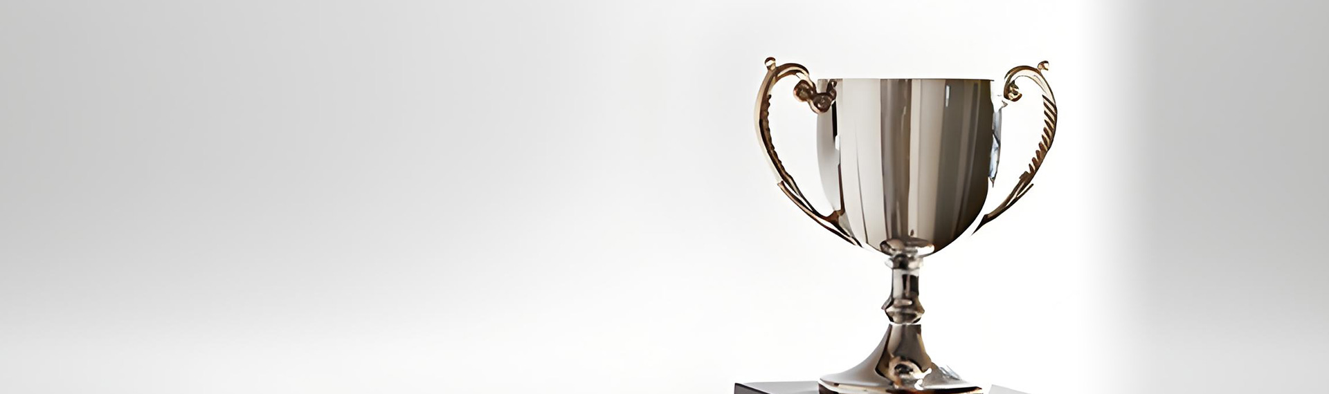 資質(zhì)與證書(shū)